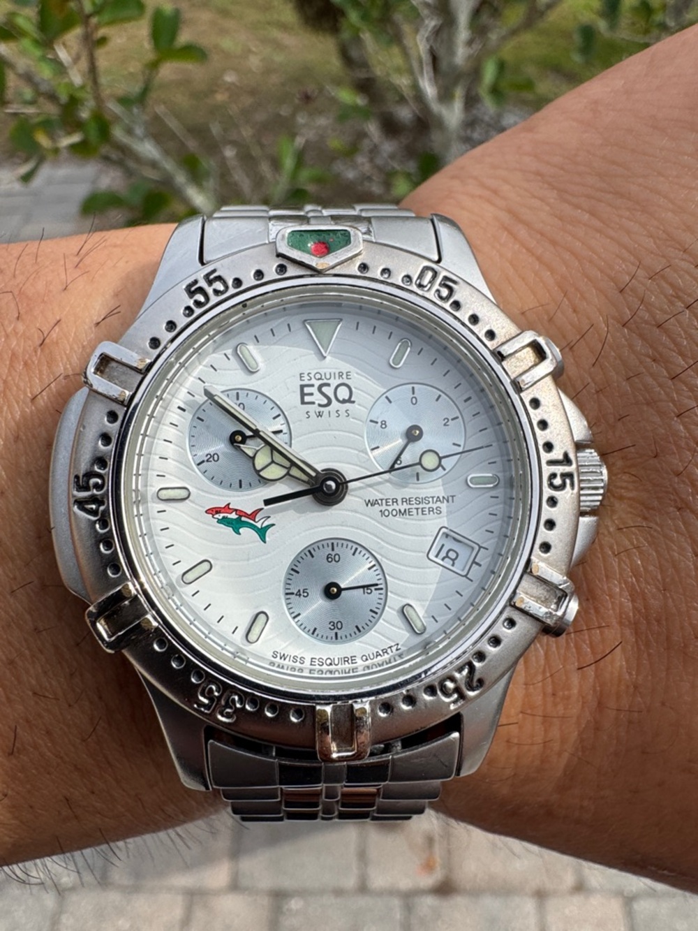 ESQ Swiss Stainless Steel Diver Chronograph Watch - White Dial 300388A